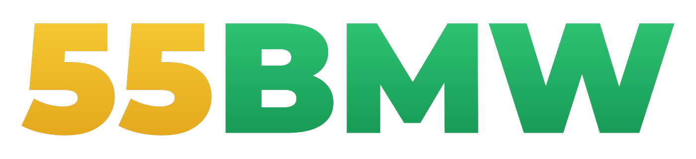55bmw.vip Logo